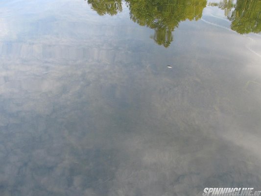 Изображение 1 : Болото, малая река, Волга.