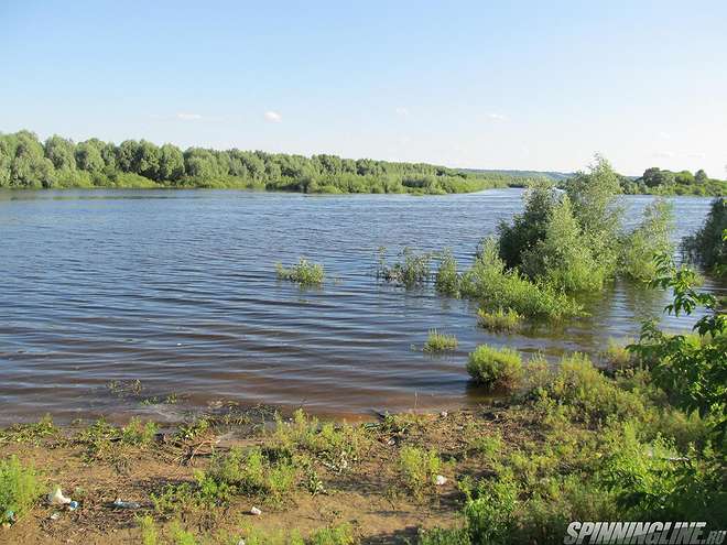 Изображение 1 : Отпуск пара дней "весны?"